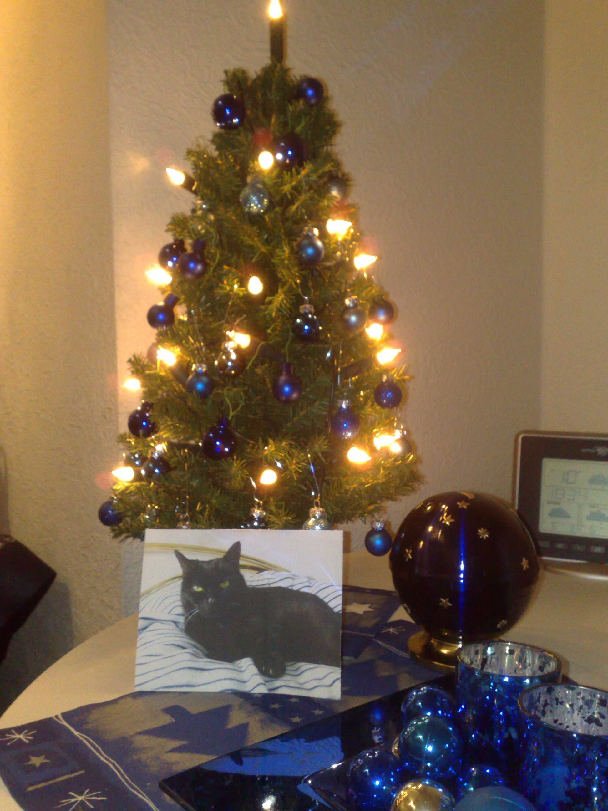 Weihnachten 2013 005