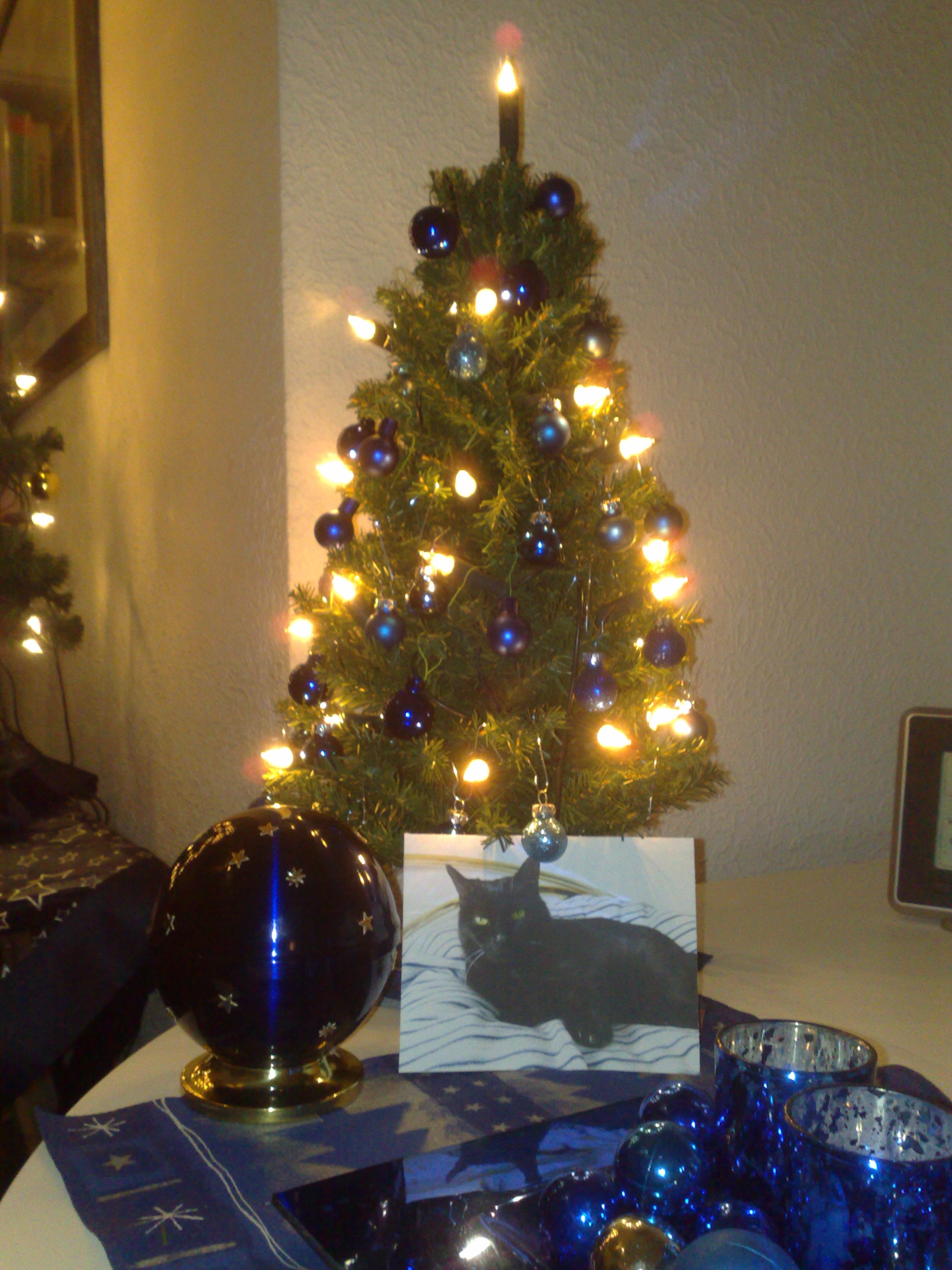 Weihnachten 2013 008