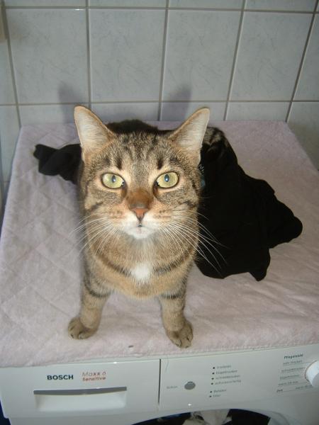 Wenn Blicke töten könnten...