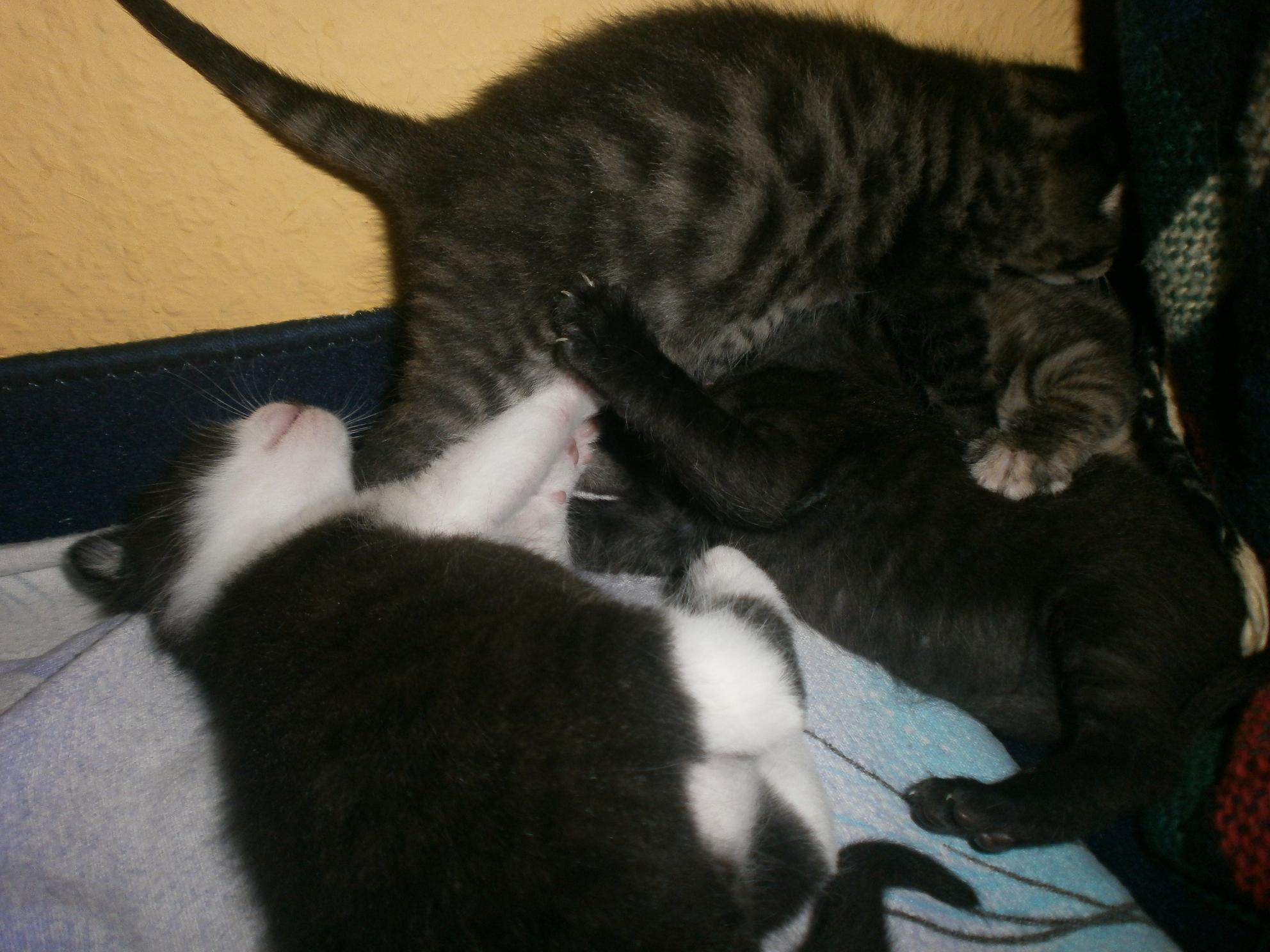 Wenn es nicht runderherum geht, geht es oben drüber