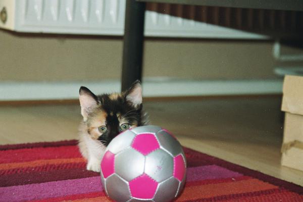 wenn ich groß bin, werde ich Fussballerin