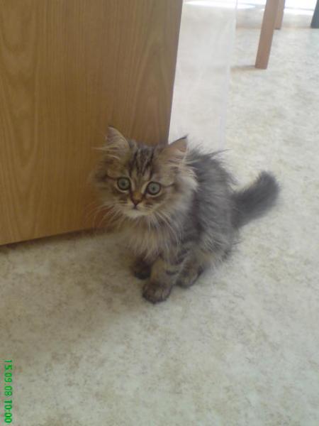 wer wartet denn da an der tür???