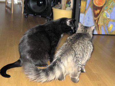 ..wetten ich bin schneller??