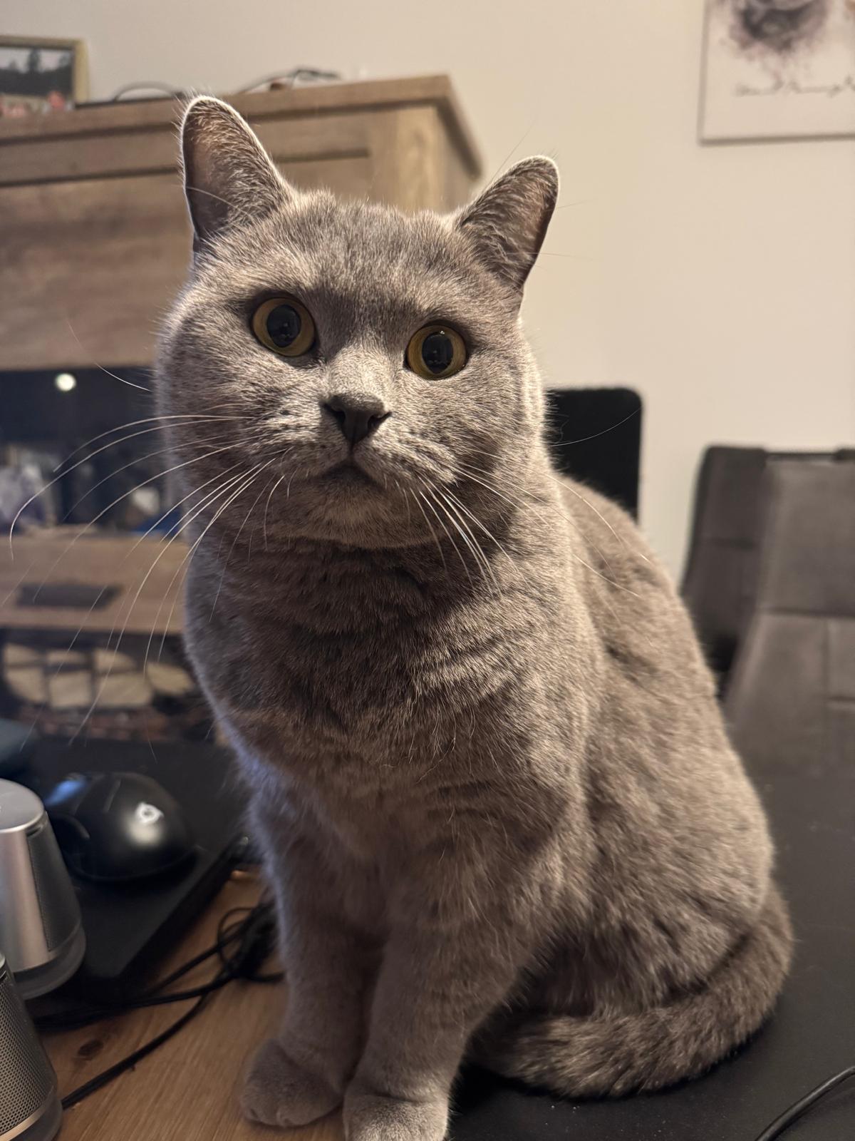 WhatsApp Bild 2025-11-10 um 18.20.42_0dc85d12.jpg