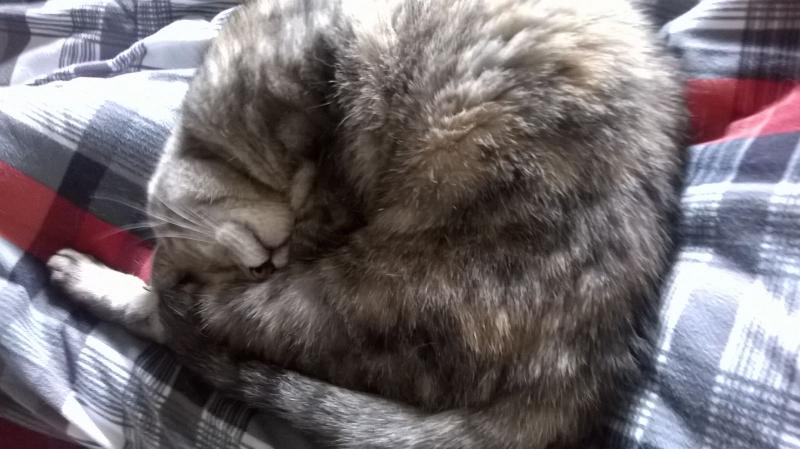 WhatsApp Image 2016 11 10 at 09.54.18