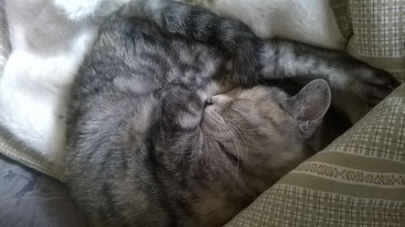 WhatsApp Image 2016 11 10 at 09.58.09