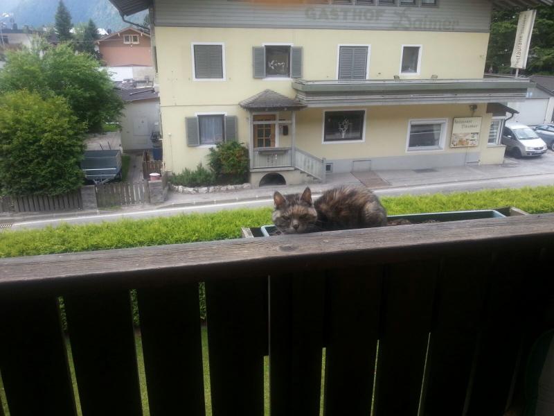 WhatsApp Image 2016 11 10 at 09.58.19