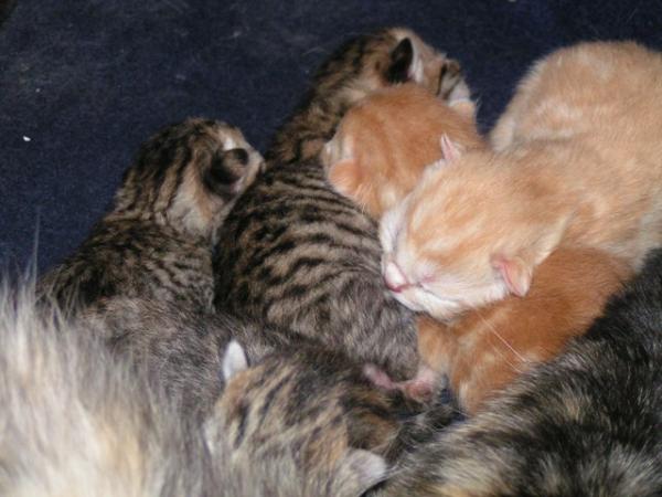 who is who  25.09.10