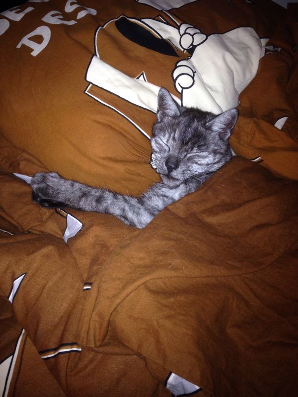 Wie ein richtiger Junge ;)