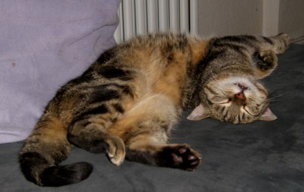 wie kann man so schlafen?