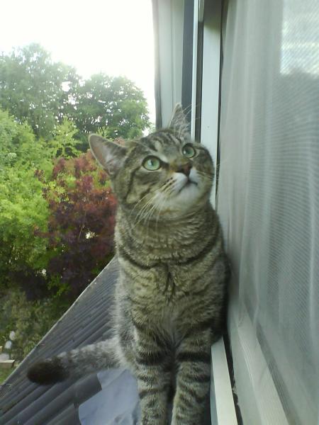 Wie süüß es guckt *-*