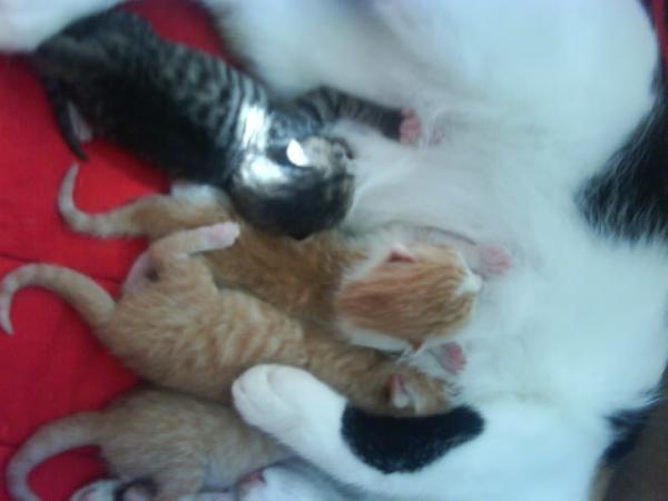 wieder bei der Milchbar =)