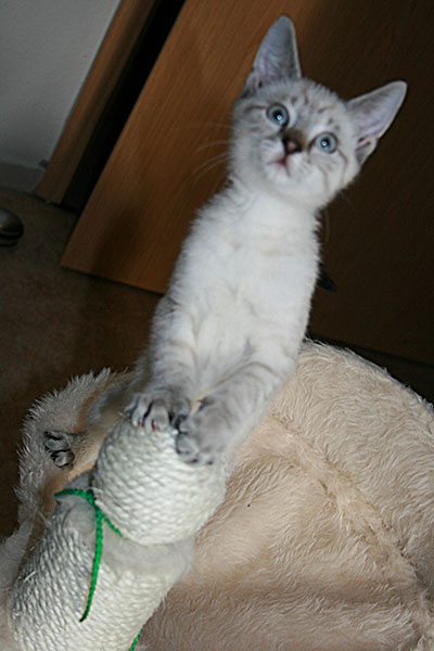 ... wielange soll ich heute nur Modell stehen? Ich weiß doch, dass ich niedlich bin :-)