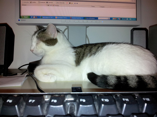 Will nicht mehr mitlesen... (Handyfoto)