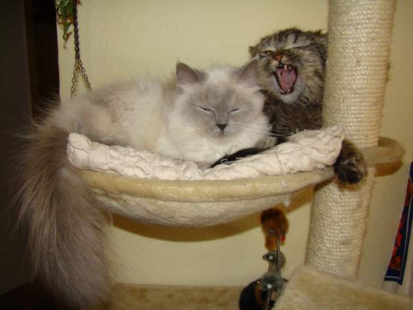 Wir sind ja soooooooooooooooo müde!!!