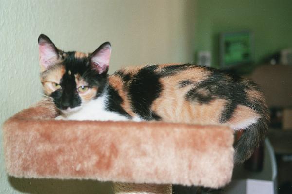 wir sind jetzt 4,5 Monate alt