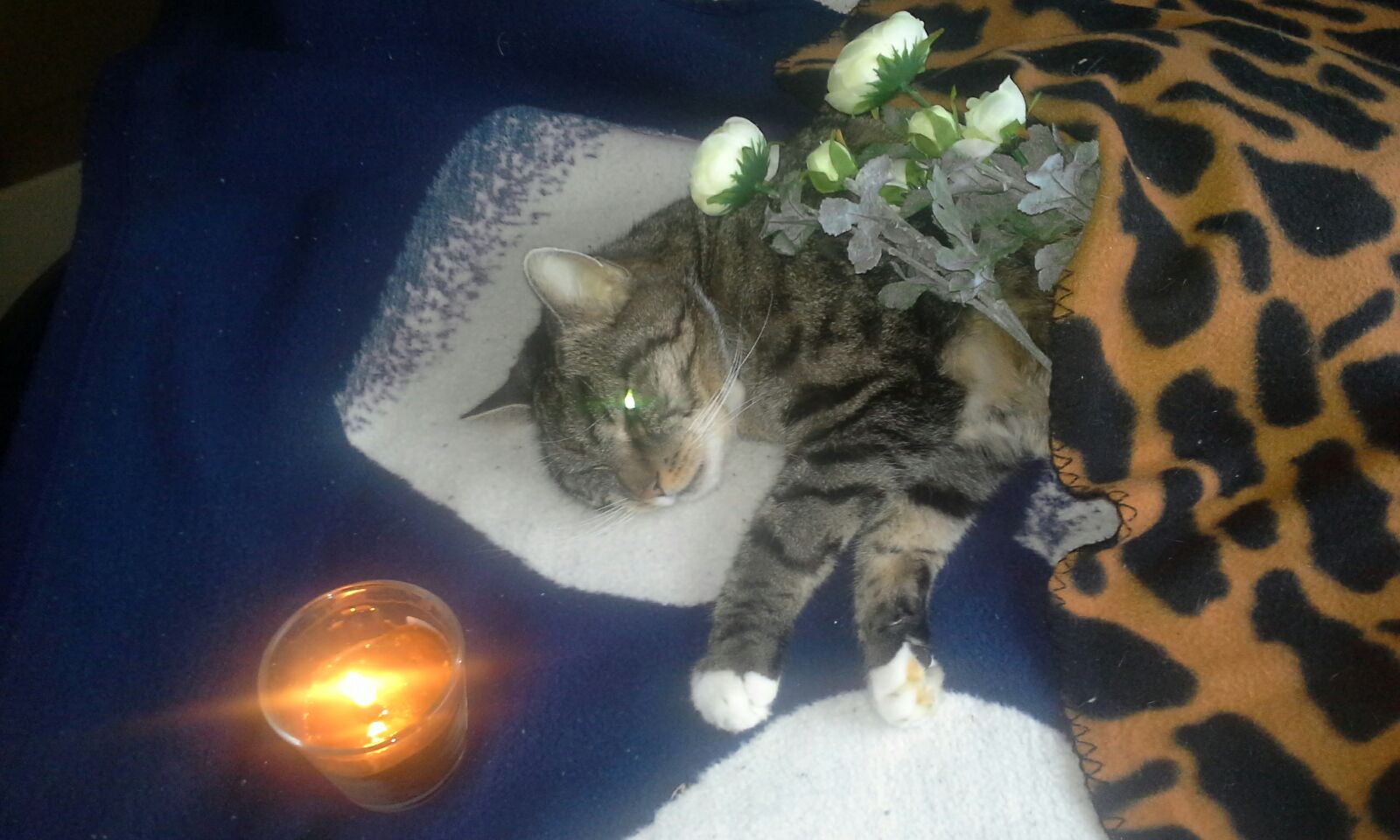 Wir werden dich nie vergessen. Du warst unser Sonnenschein.Danke für dein grenzenloses Vertrauen. Da wo du jetzt bist wirst du auf uns warten.