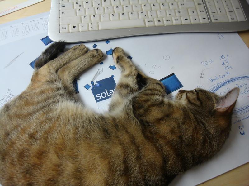 Wo gibt es denn sowas, einfach während der Arbeit schlafen :-).