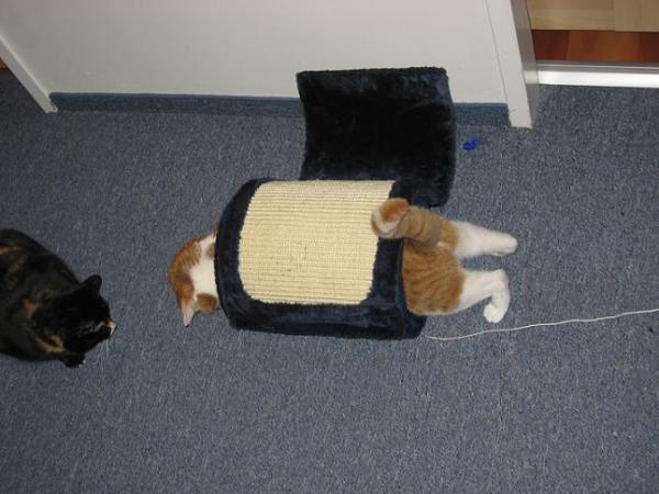 Wo is denn die Schnur hin?