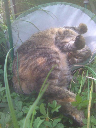 wo ist oben oder unten