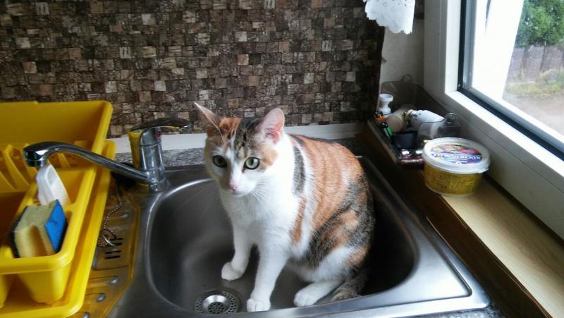 wollte mal ein Bad nehmen