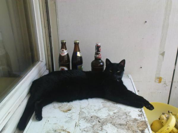 Xanthippe unsere Älteste