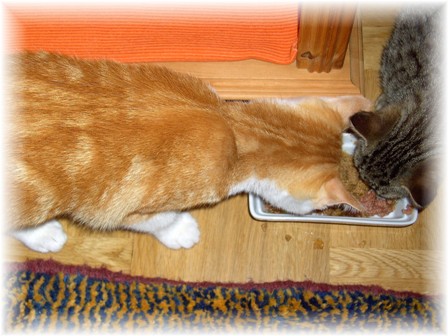 zu zweit schmeckts besser