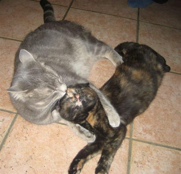 Zuerst zoffen und dann...