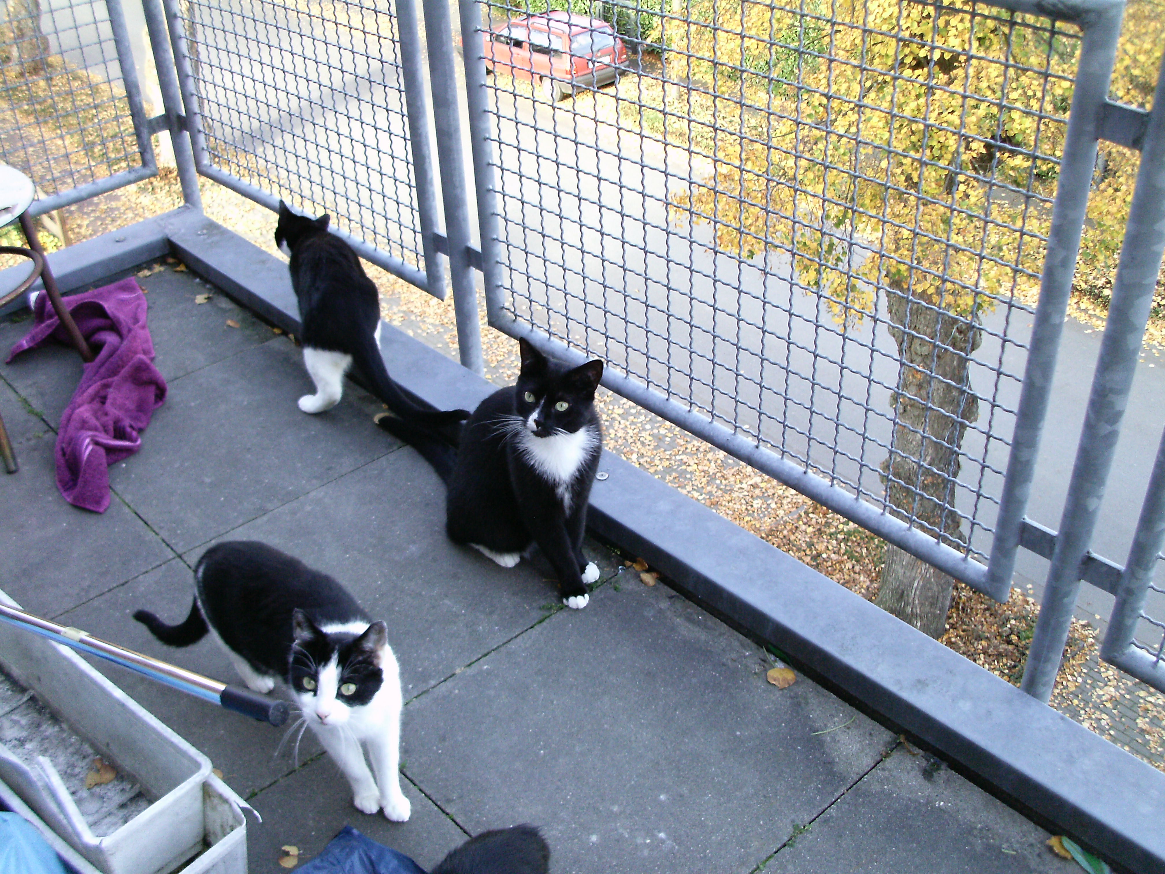 Zufallsfoto mit Thommy Lucky und Blacky !