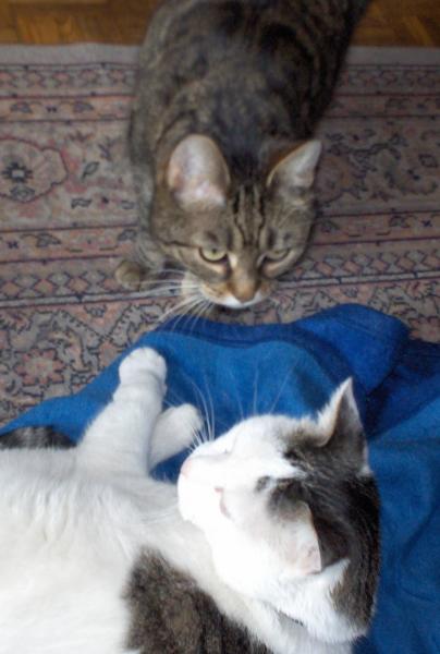 zweisamkeit, was ist das?